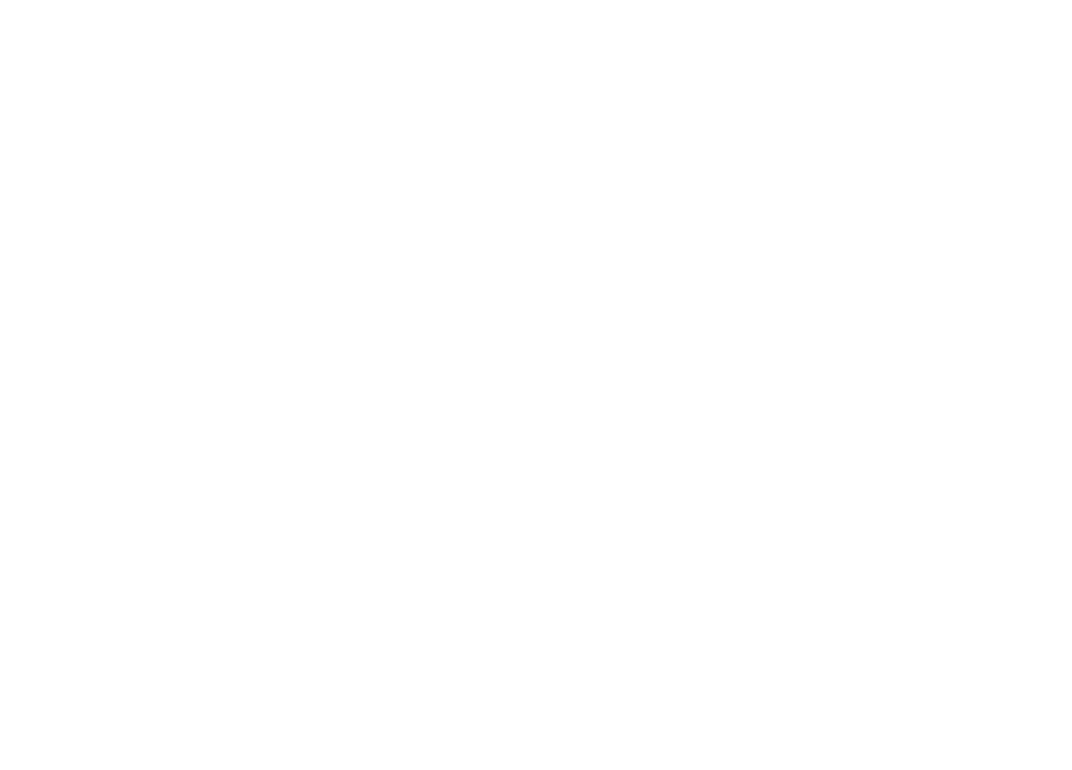 TrueStiq Logo